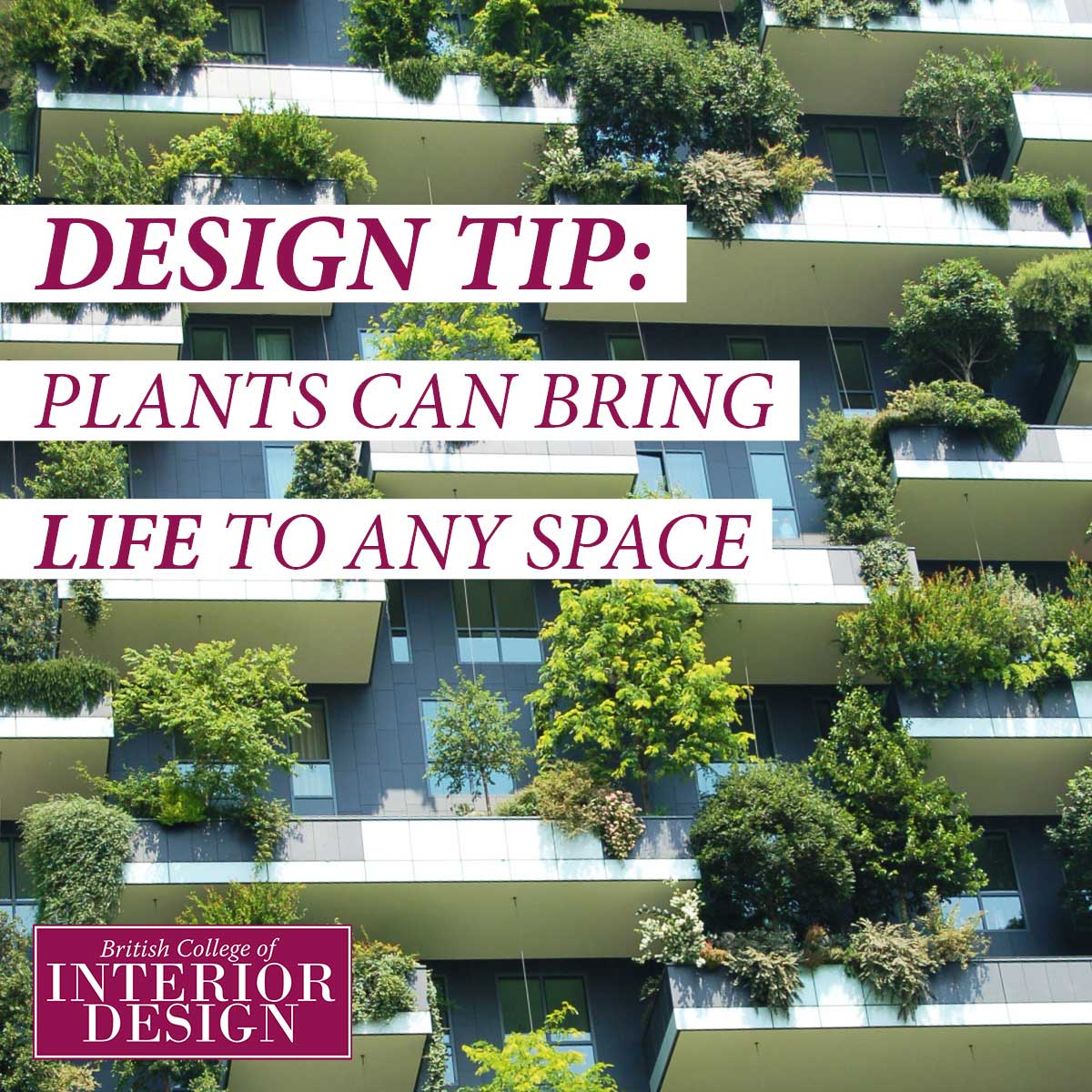 Plants Bring Life