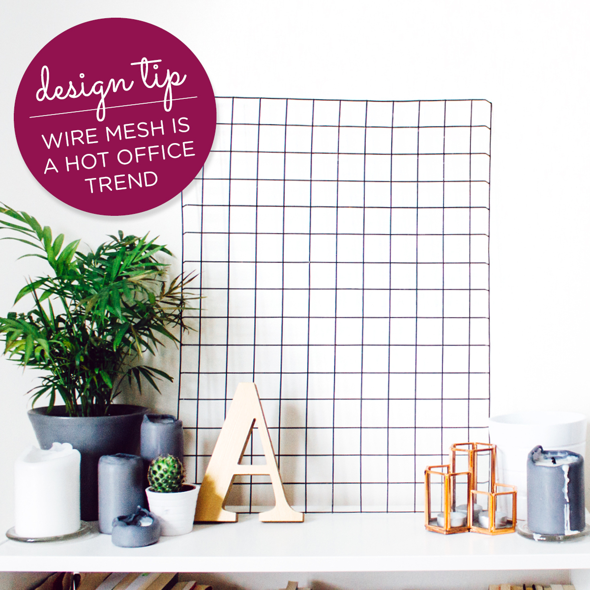 Wire Mesh Trend